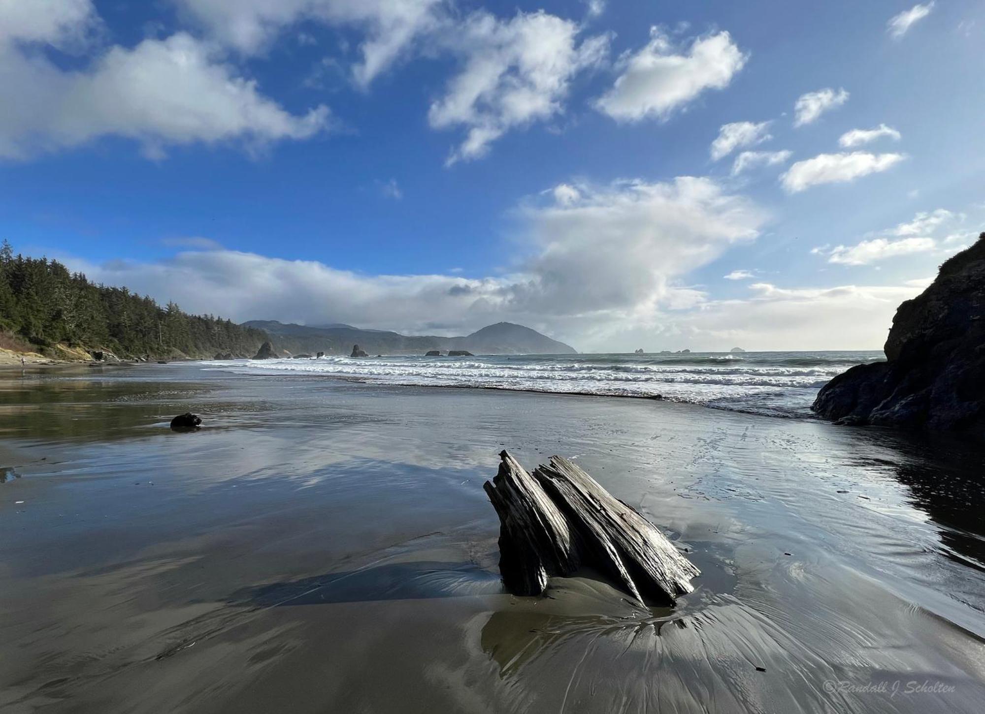 The Cove At Port Orford - 5 Ocean Front Suites Bagian luar foto