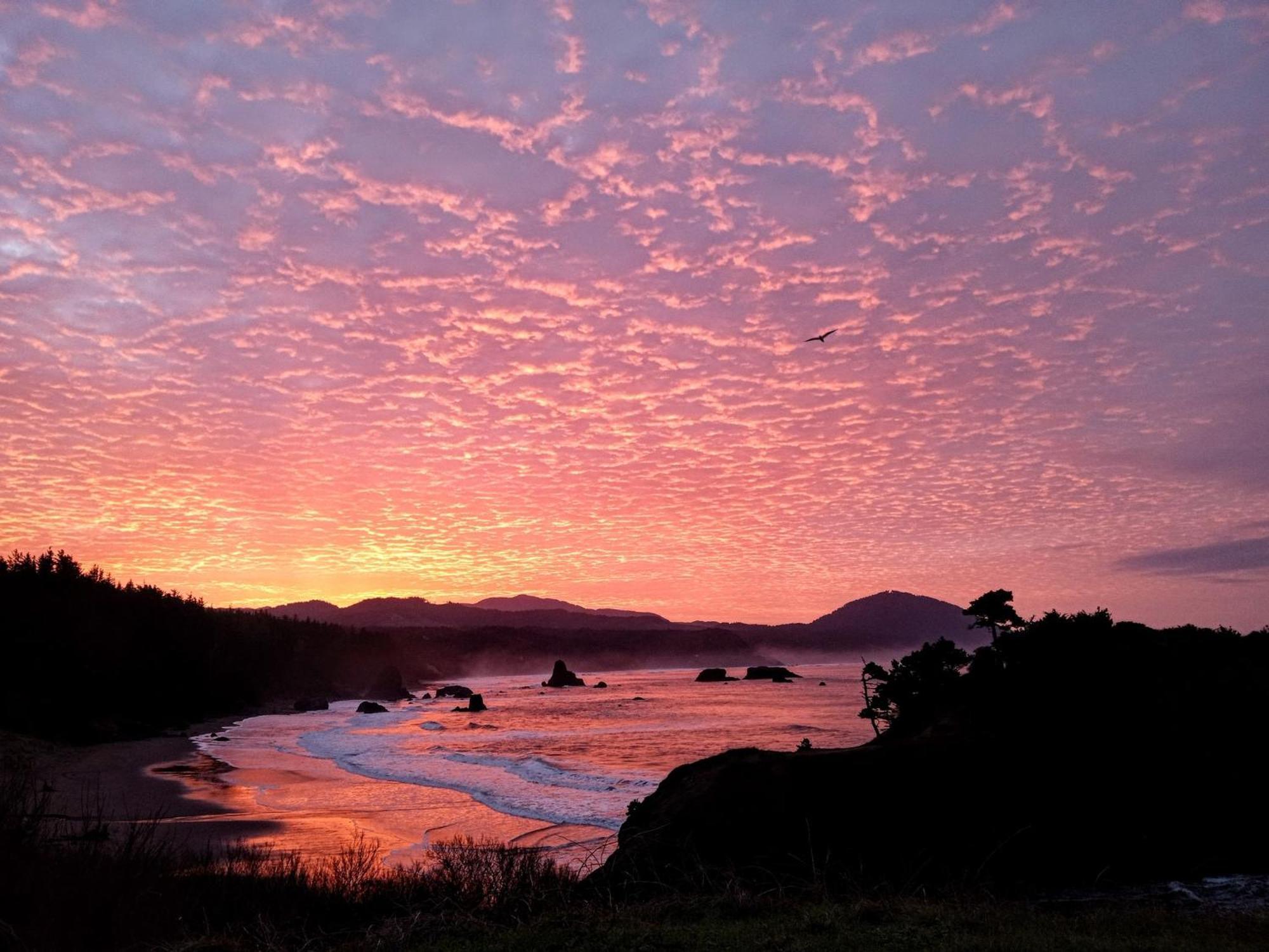 The Cove At Port Orford - 5 Ocean Front Suites Bagian luar foto