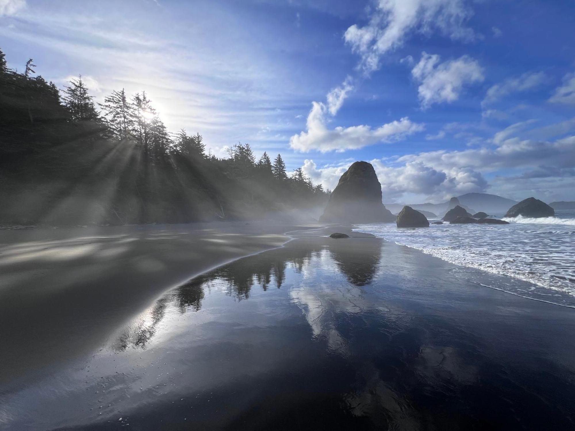 The Cove At Port Orford - 5 Ocean Front Suites Bagian luar foto